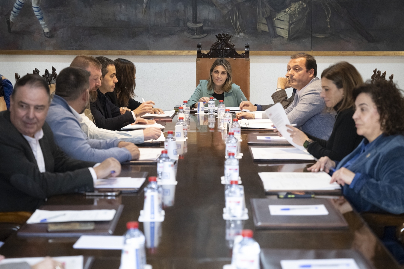 La Diputació de Castelló reforça el control poblacional de colònies felines en 67 municipis de la província