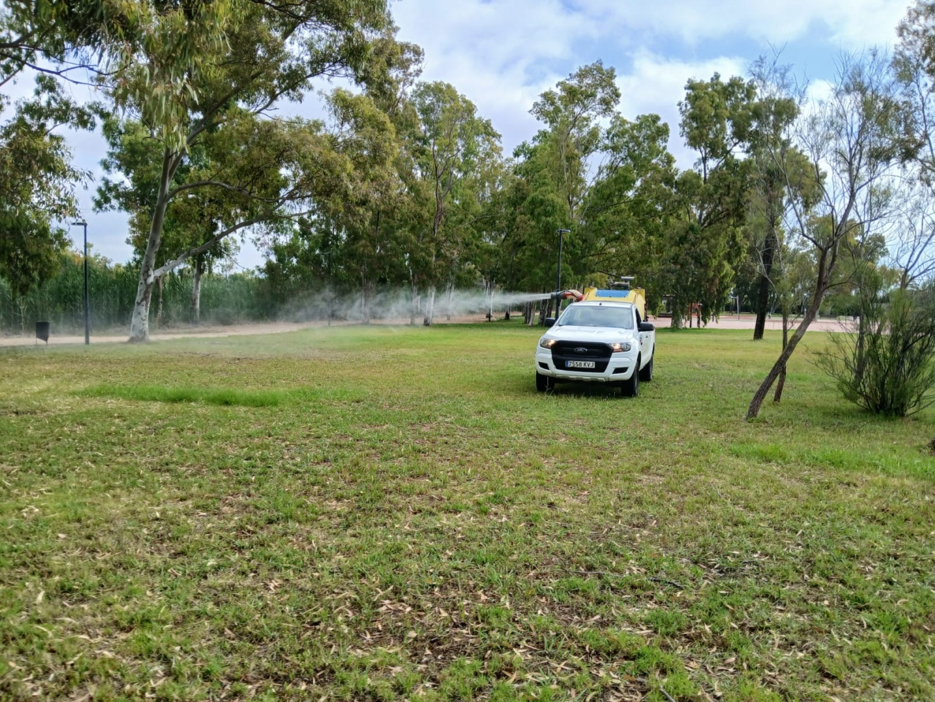 La Diputació de Castelló reforça els tractaments contra els mosquits en les marjals litorals després de les últimes pluges